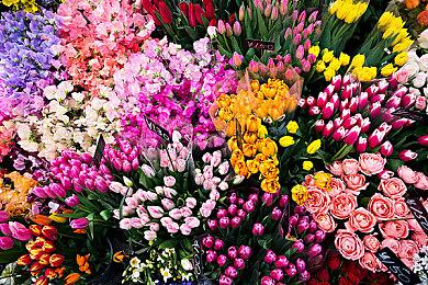 数据挖掘发现马里奥新配音演员 曾为钢铁侠配音